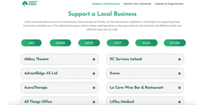 pivot business - suport dublin