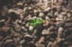 crm - pexels freestocksorg 127713