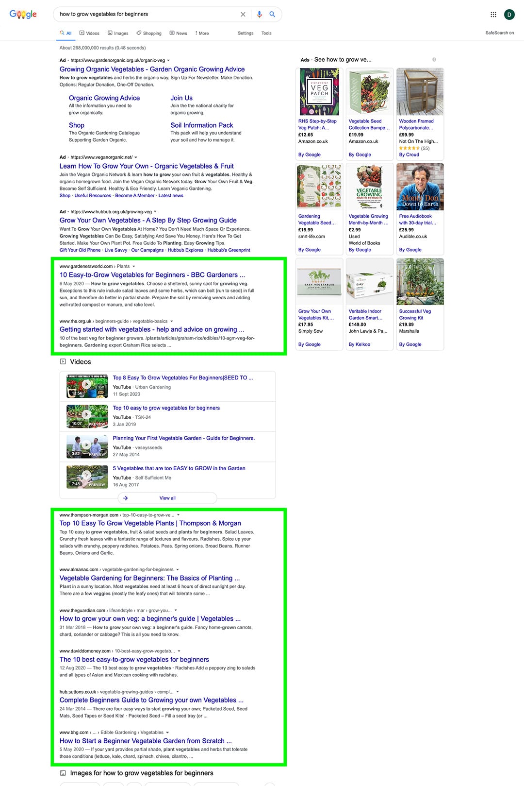 seo organic search results on google search engine results page