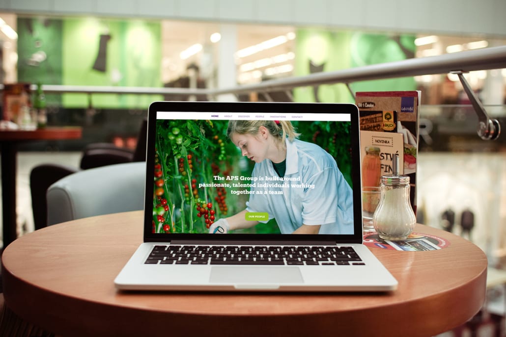 APS Group Website Desktop View by Nettl