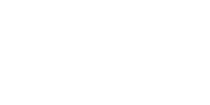 nettl-alliance-logo