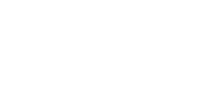 nettl partner