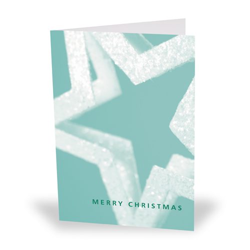 Festive Gifting - fg silk cards