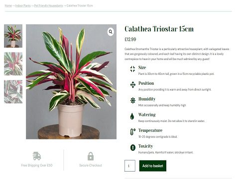 Ecommerce shop for Tropical Plants UK