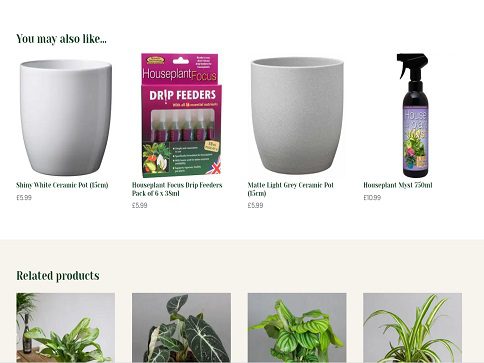 Online shop - Tropical Plants UK