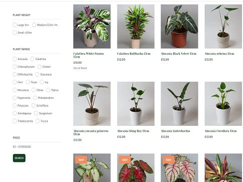 Ecommerce website - Tropical Plants UK