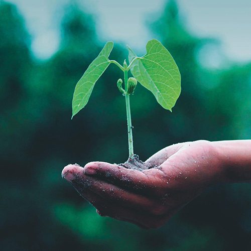 Eco Friendly Printing UK Sustainable Printing Nettl UK