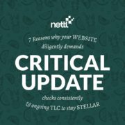 critical update website maintenance updates