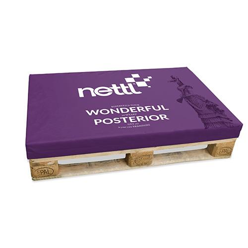 Branded Furniture & Decor - pallet cushions