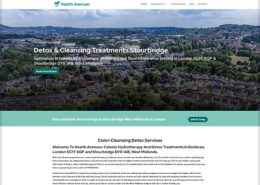 - health avenues portfolio 1