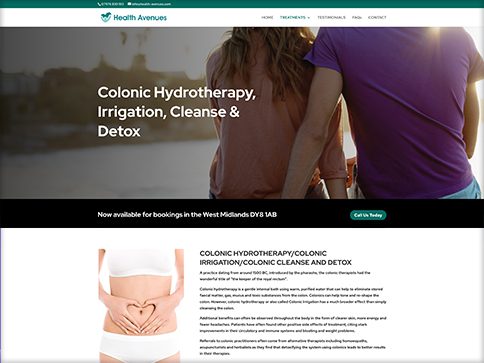 - health avenues portfolio 2