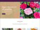 Assured ISO - loolas treasures portfolio 1