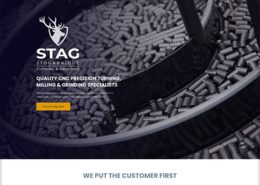 - stag portfolio 1