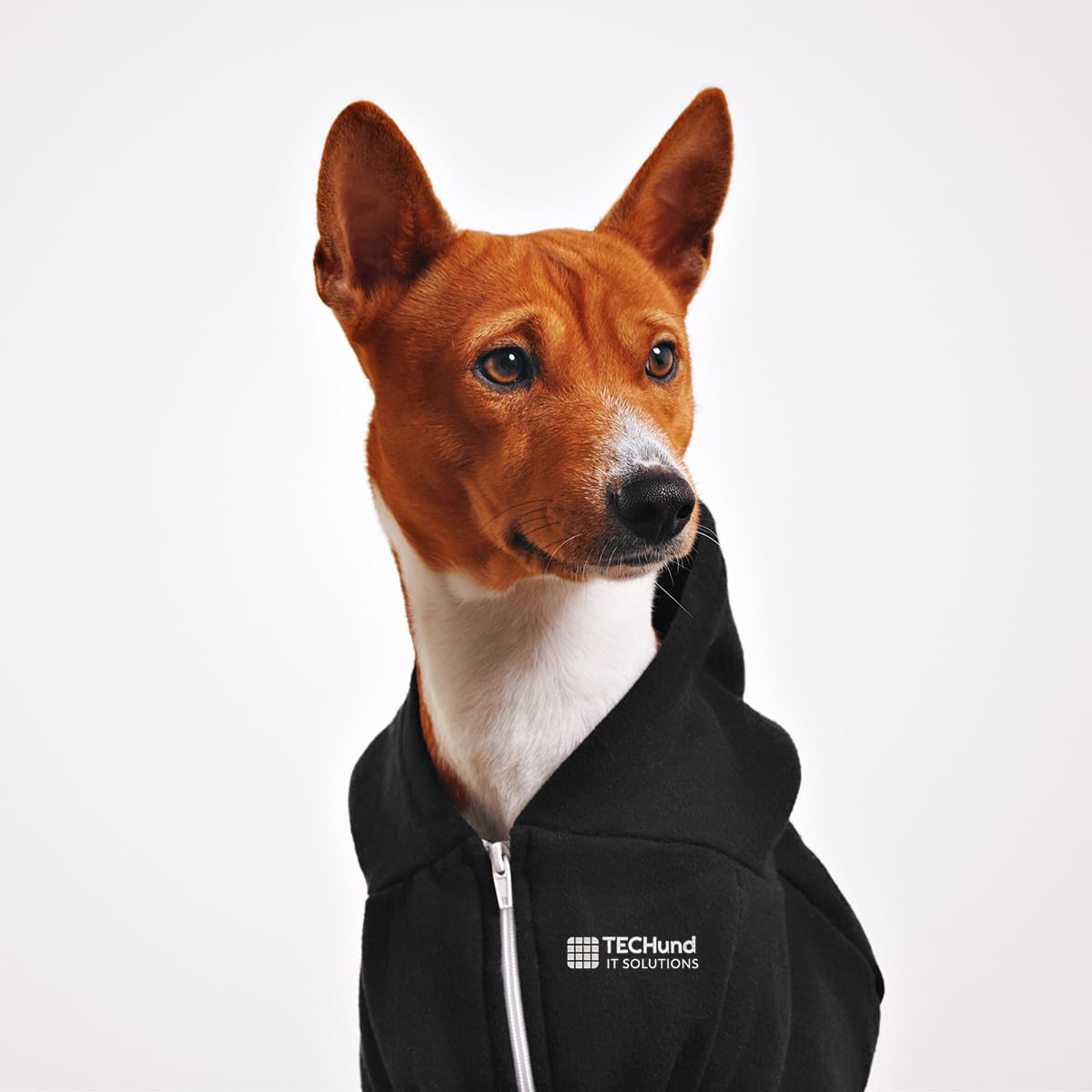 Branded Workwear - TECHund Dog