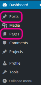 Wordpress posts & pages