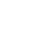 white shopping trolley online basket